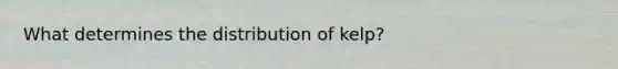 What determines the distribution of kelp?