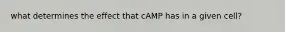 what determines the effect that cAMP has in a given cell?