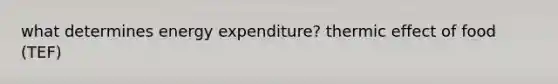 what determines energy expenditure? thermic effect of food (TEF)