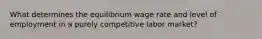 What determines the equilibrium wage rate and level of employment in a purely competitive labor market?