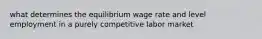 what determines the equilibrium wage rate and level employment in a purely competitive labor market