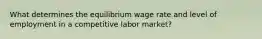 What determines the equilibrium wage rate and level of employment in a competitive labor market?