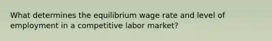 What determines the equilibrium wage rate and level of employment in a competitive labor market?