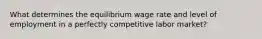 What determines the equilibrium wage rate and level of employment in a perfectly competitive labor market?