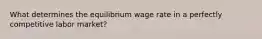 What determines the equilibrium wage rate in a perfectly competitive labor market?