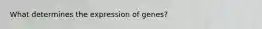 What determines the expression of genes?