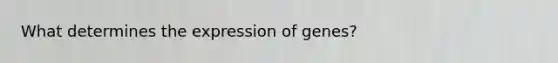What determines the expression of genes?
