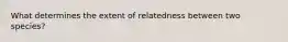 What determines the extent of relatedness between two species?