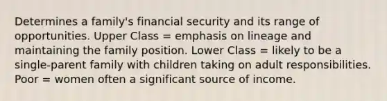 Determines a family's financial security and its range of opportunities. Upper Class = emphasis on lineage and maintaining the family position. Lower Class = likely to be a single-parent family with children taking on adult responsibilities. Poor = women often a significant source of income.