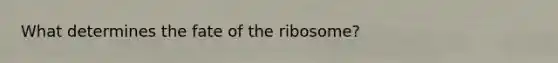 What determines the fate of the ribosome?