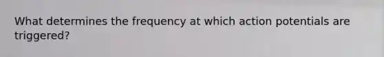 What determines the frequency at which action potentials are triggered?