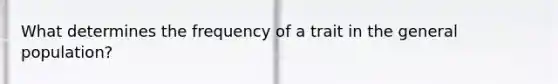 What determines the frequency of a trait in the general population?