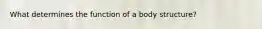 What determines the function of a body structure?