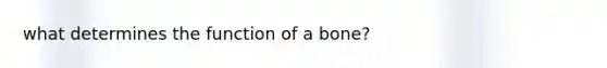 what determines the function of a bone?