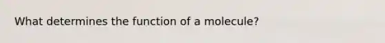 What determines the function of a molecule?