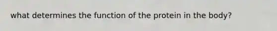 what determines the function of the protein in the body?