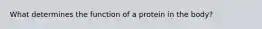 What determines the function of a protein in the body?