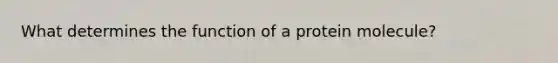 What determines the function of a protein molecule?