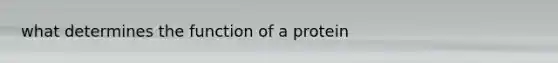 what determines the function of a protein