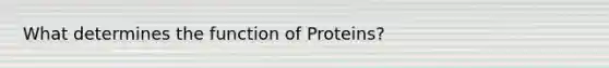 What determines the function of Proteins?