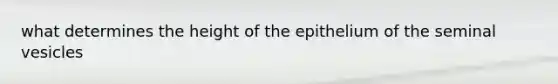 what determines the height of the epithelium of the seminal vesicles