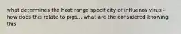 what determines the host range specificity of influenza virus - how does this relate to pigs... what are the considered knowing this