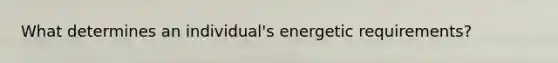 What determines an individual's energetic requirements?