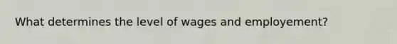 What determines the level of wages and employement?