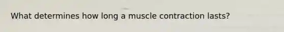 What determines how long a muscle contraction lasts?