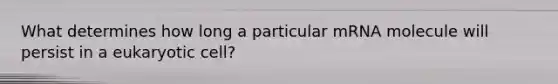 What determines how long a particular mRNA molecule will persist in a eukaryotic cell?