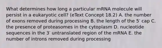 What determines how long a particular mRNA molecule will persist in a eukaryotic cell? (eText Concept 18.2) A. the number of exons removed during processing B. the length of the 5′ cap C. the presence of proteasomes in the cytoplasm D. nucleotide sequences in the 3′ untranslated region of the mRNA E. the number of introns removed during processing