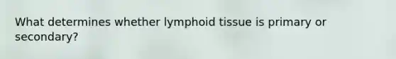 What determines whether lymphoid tissue is primary or secondary?