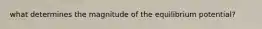 what determines the magnitude of the equilibrium potential?