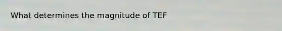 What determines the magnitude of TEF