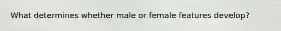 What determines whether male or female features develop?