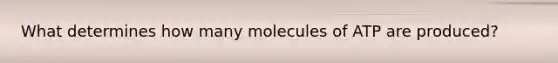 What determines how many molecules of ATP are produced?