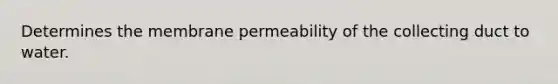 Determines the membrane permeability of the collecting duct to water.