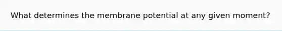 What determines the membrane potential at any given moment?