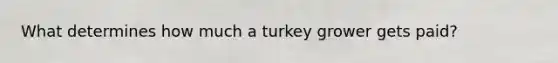 What determines how much a turkey grower gets paid?