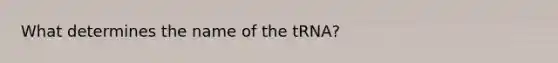 What determines the name of the tRNA?