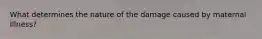 What determines the nature of the damage caused by maternal Illness?