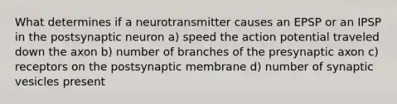 What determines if a neurotransmitter causes an EPSP or an IPSP in the postsynaptic neuron a) speed the action potential traveled down the axon b) number of branches of the presynaptic axon c) receptors on the postsynaptic membrane d) number of synaptic vesicles present