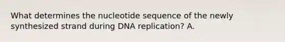 What determines the nucleotide sequence of the newly synthesized strand during DNA replication? A.