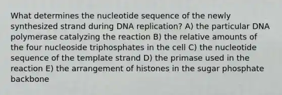 What determines the nucleotide sequence of the newly synthesized strand during DNA replication? A) the particular DNA polymerase catalyzing the reaction B) the relative amounts of the four nucleoside triphosphates in the cell C) the nucleotide sequence of the template strand D) the primase used in the reaction E) the arrangement of histones in the sugar phosphate backbone