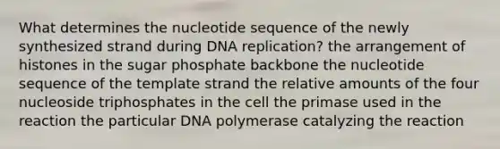 What determines the nucleotide sequence of the newly synthesized strand during <a href='https://www.questionai.com/knowledge/kofV2VQU2J-dna-replication' class='anchor-knowledge'>dna replication</a>? the arrangement of histones in the sugar phosphate backbone the nucleotide sequence of the template strand the relative amounts of the four nucleoside triphosphates in the cell the primase used in the reaction the particular DNA polymerase catalyzing the reaction