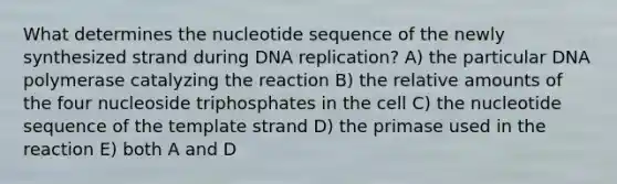 What determines the nucleotide sequence of the newly synthesized strand during <a href='https://www.questionai.com/knowledge/kofV2VQU2J-dna-replication' class='anchor-knowledge'>dna replication</a>? A) the particular DNA polymerase catalyzing the reaction B) the relative amounts of the four nucleoside triphosphates in the cell C) the nucleotide sequence of the template strand D) the primase used in the reaction E) both A and D