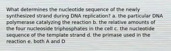 What determines the nucleotide sequence of the newly synthesized strand during <a href='https://www.questionai.com/knowledge/kofV2VQU2J-dna-replication' class='anchor-knowledge'>dna replication</a>? a. the particular DNA polymerase catalyzing the reaction b. the relative amounts of the four nucleoside triphosphates in the cell c. the nucleotide sequence of the template strand d. the primase used in the reaction e. both A and D