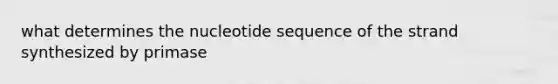 what determines the nucleotide sequence of the strand synthesized by primase