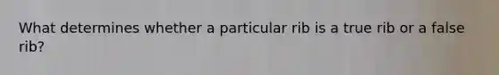 What determines whether a particular rib is a true rib or a false rib?