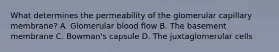 What determines the permeability of the glomerular capillary membrane? A. Glomerular blood flow B. The basement membrane C. Bowman's capsule D. The juxtaglomerular cells